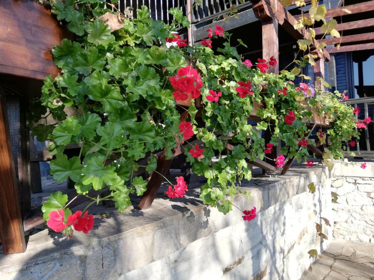 Trifon Zarezan Family Hotel Glavatartsi Extérieur photo